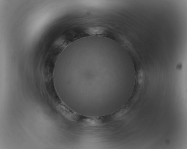 X0000113230763200909171539