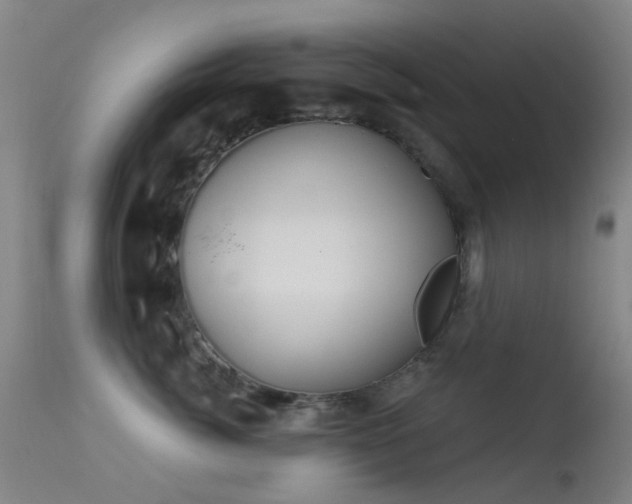 X0000113230764200909171539