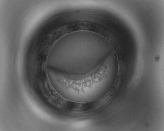 X0000113230765200909171539