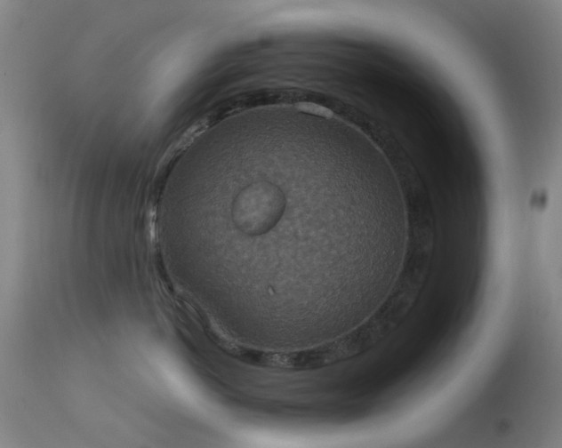 X0000113230766200909171539