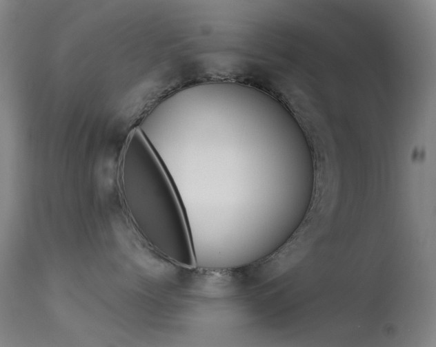 X0000113230768200909171539