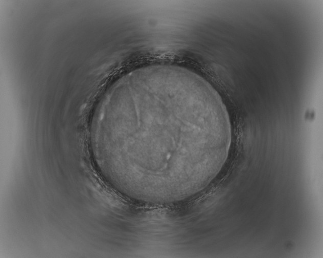 X0000113230769200909171538