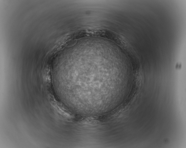 X0000113230770200909171538