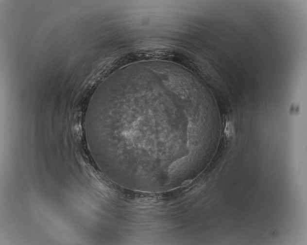 X0000113230771200909171538