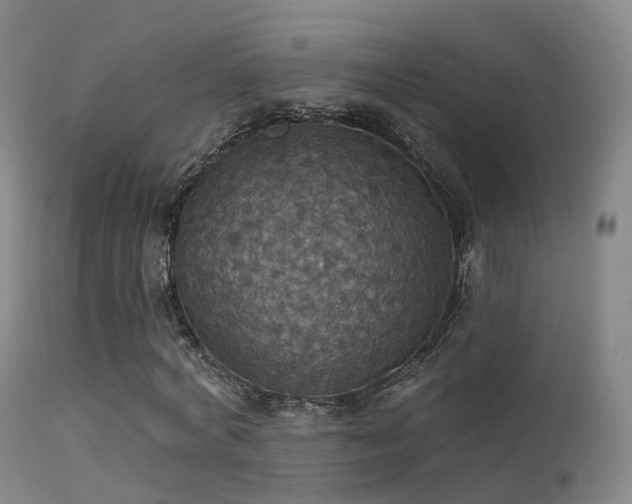 X0000113230772200909171538