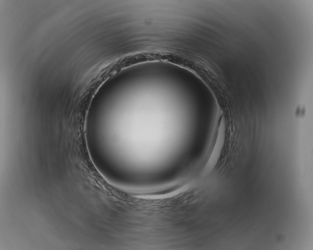 X0000113230773200909171538