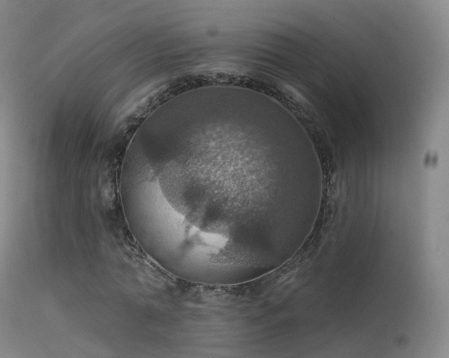 X0000113230774200909171538