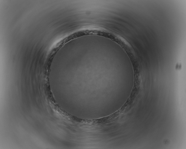 X0000113230775200909171538