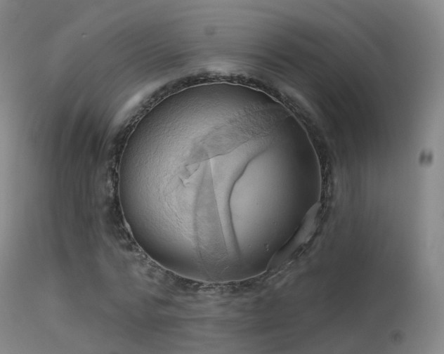 X0000113230776200909171538