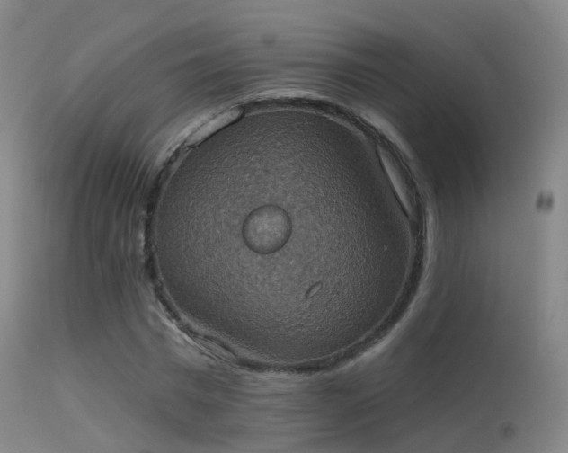 X0000113230777200909171538