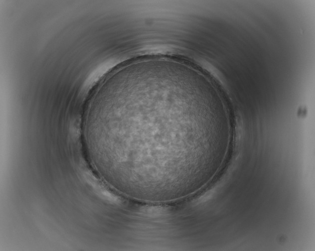 X0000113230778200909171538