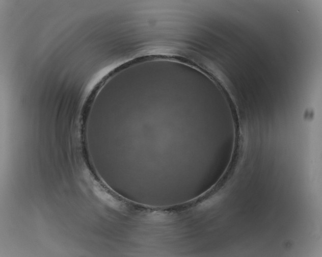 X0000113230779200909171538