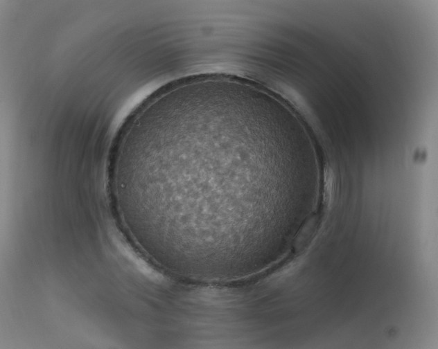 X0000113230780200909171538