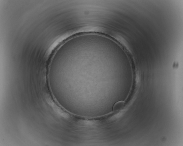 X0000113230781200909171538