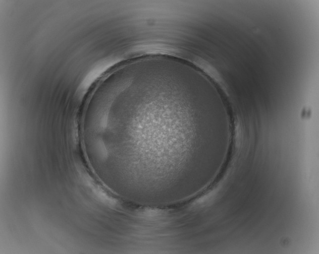 X0000113230782200909171538