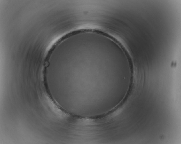 X0000113230783200909171538