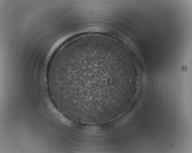 X0000113230784200909171538