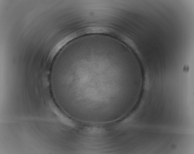 X0000113230786200909171538