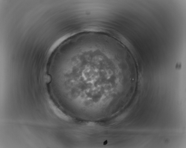 X0000113230787200909171538