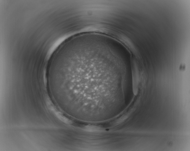 X0000113230788200909171538