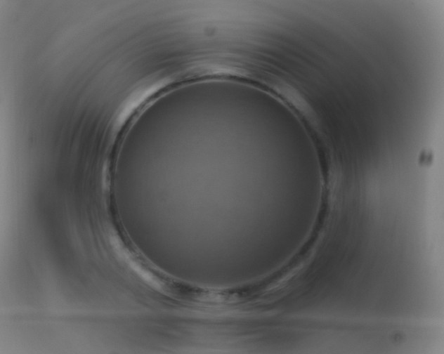 X0000113230790200909171538