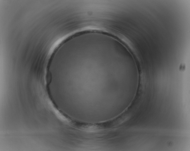 X0000113230791200909171538