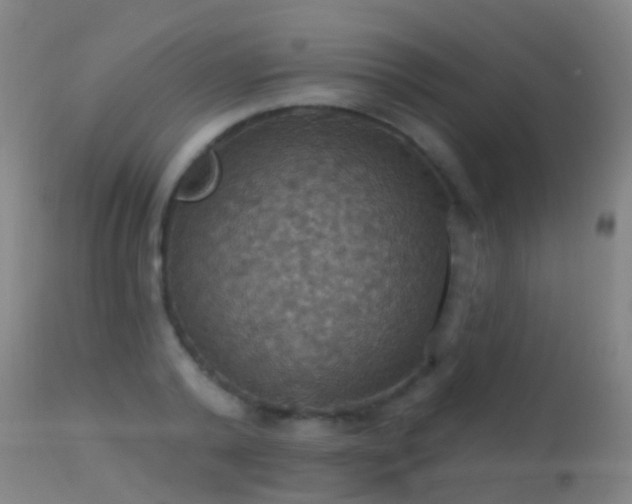 X0000113230792200909171538