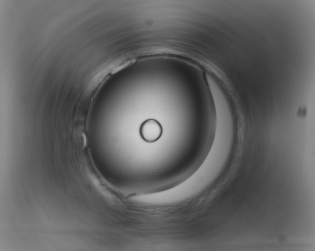 X0000113230793200909171538