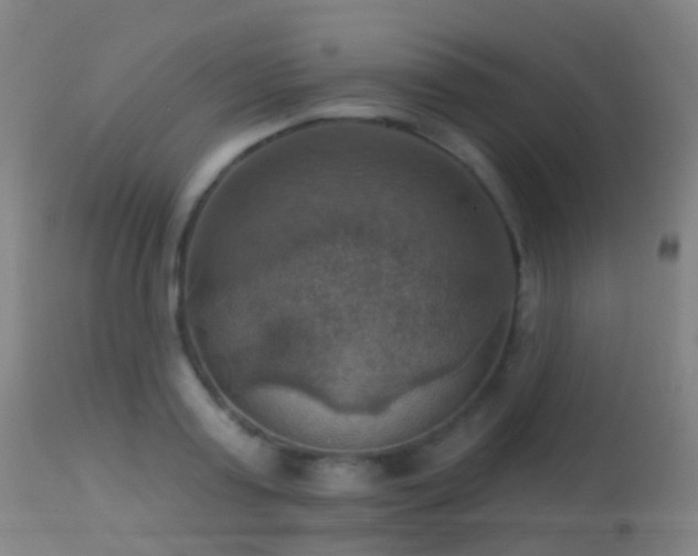 X0000113230795200909171538