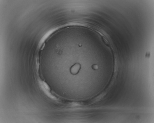 X0000113230796200909171538