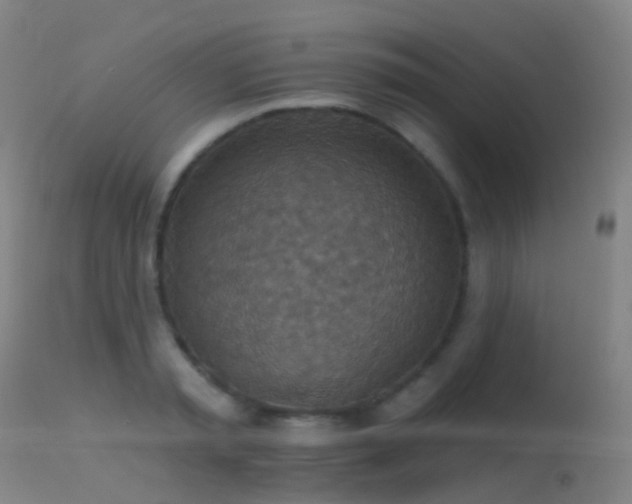 X0000113230797200909171538