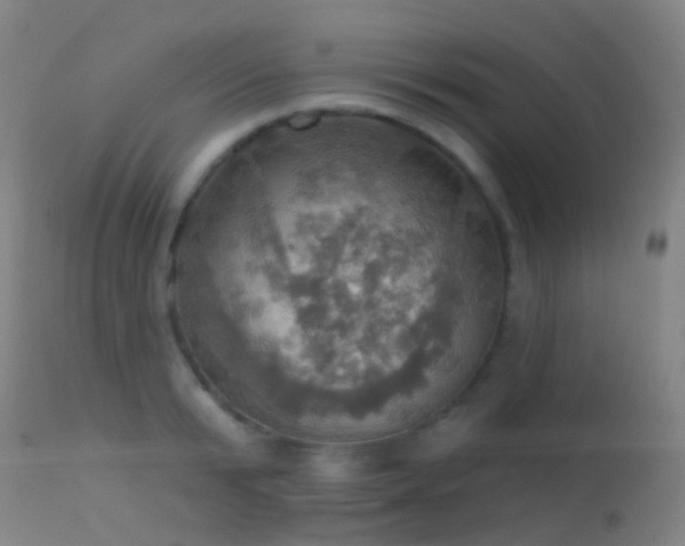 X0000113230799200909171538