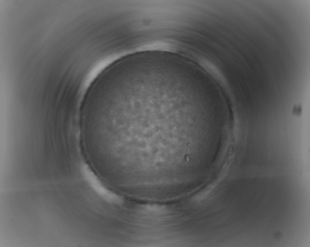 X0000113230800200909171538