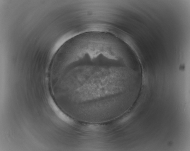 X0000113230803200909171537