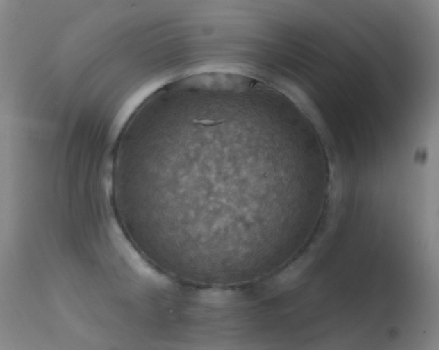 X0000113230804200909171537