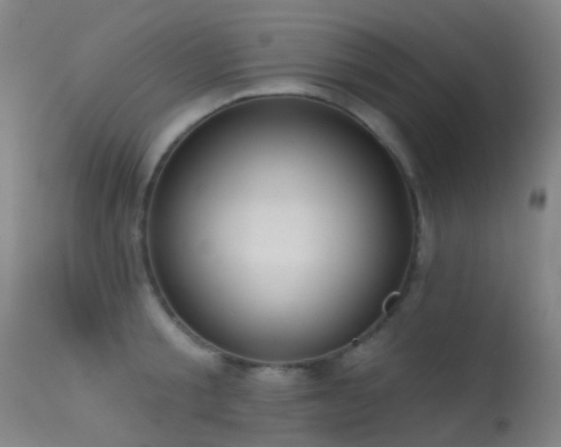 X0000113230805200909171537