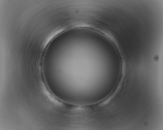 X0000113230806200909171537