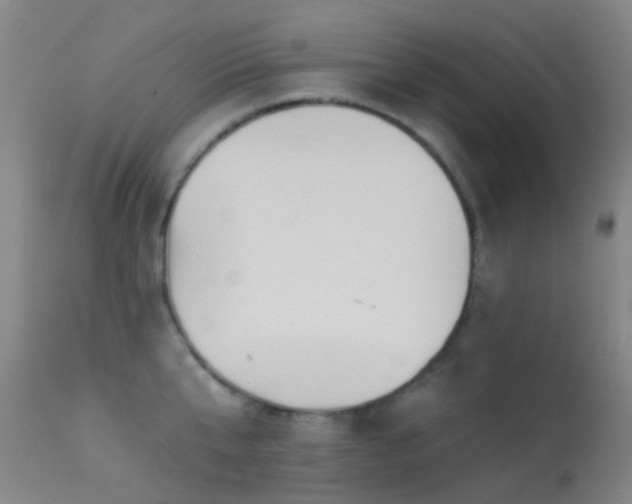 X0000113230807200909171537