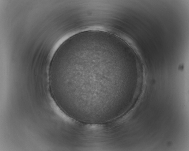 X0000113230808200909171537