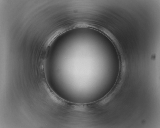 X0000113230809200909171537