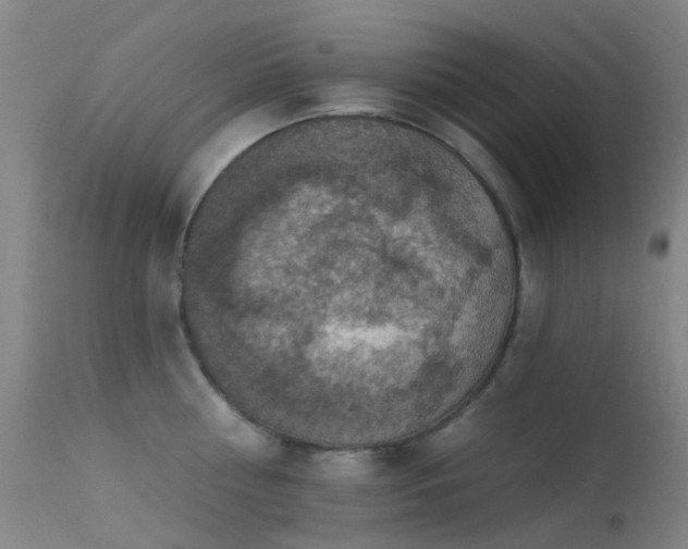 X0000113230810200909171537