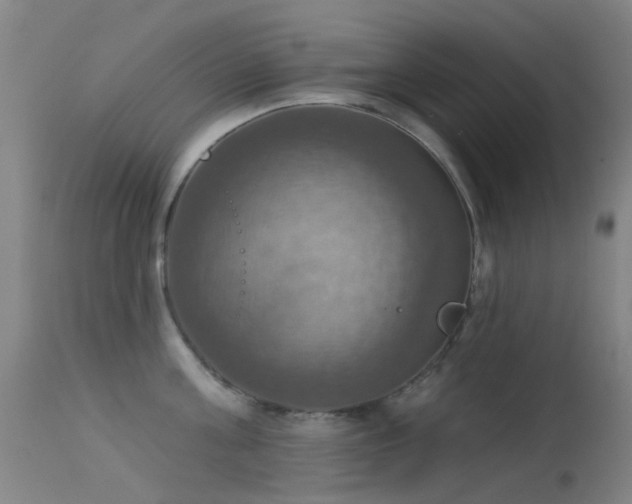 X0000113230811200909171537