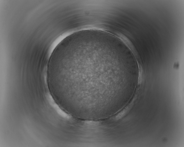 X0000113230812200909171537