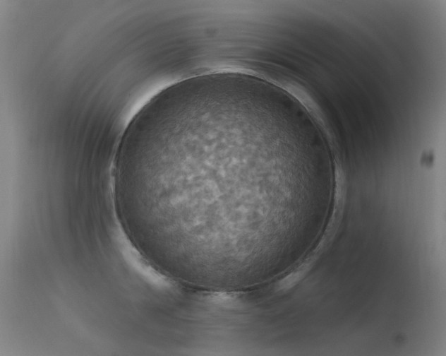 X0000113230814200909171537