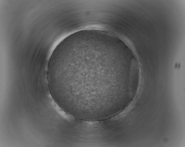 X0000113230816200909171537