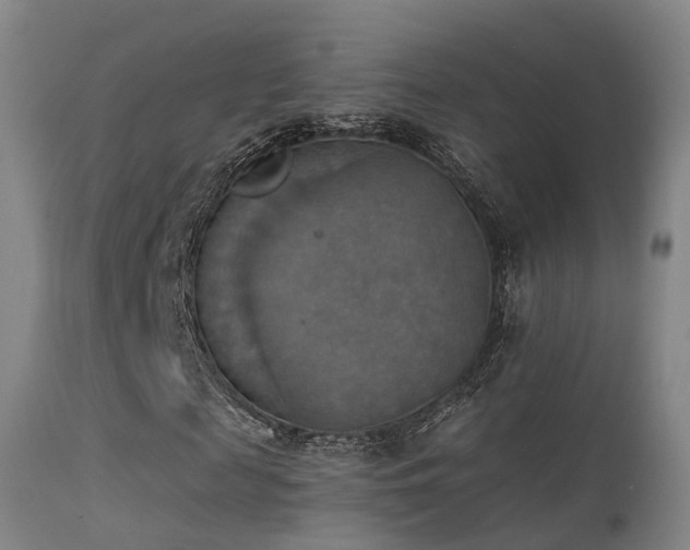 X0000113230817200909171536