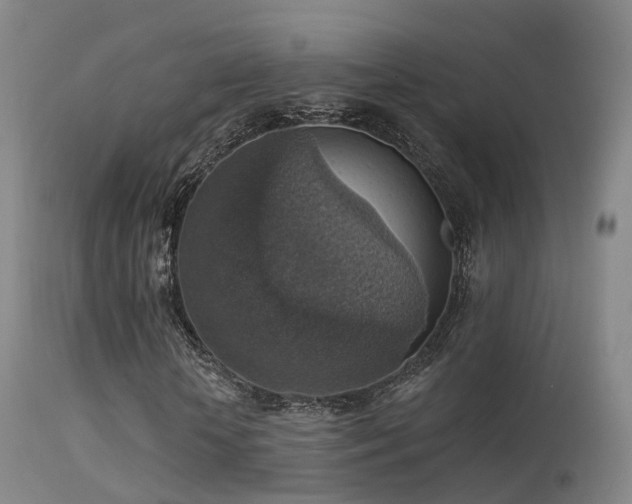 X0000113230818200909171536