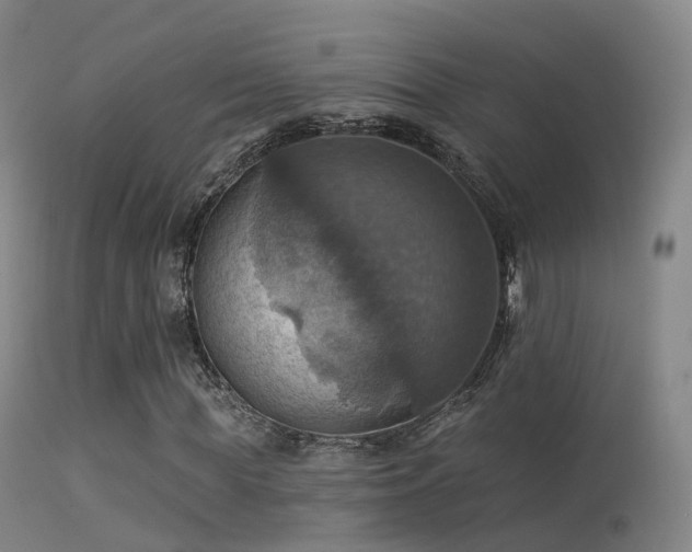 X0000113230819200909171536