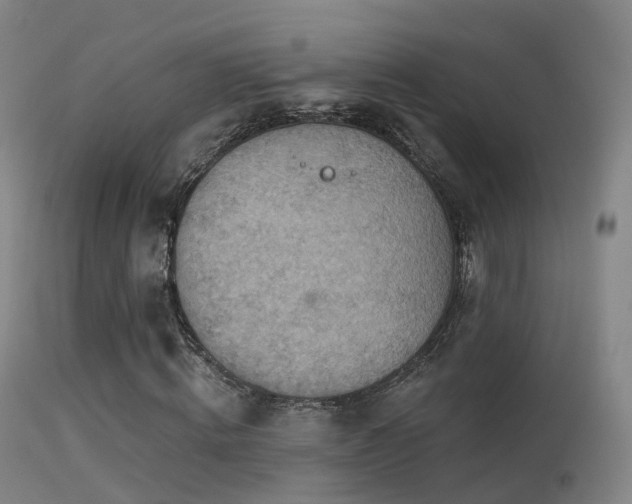 X0000113230820200909171536