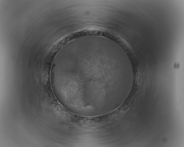 X0000113230821200909171537